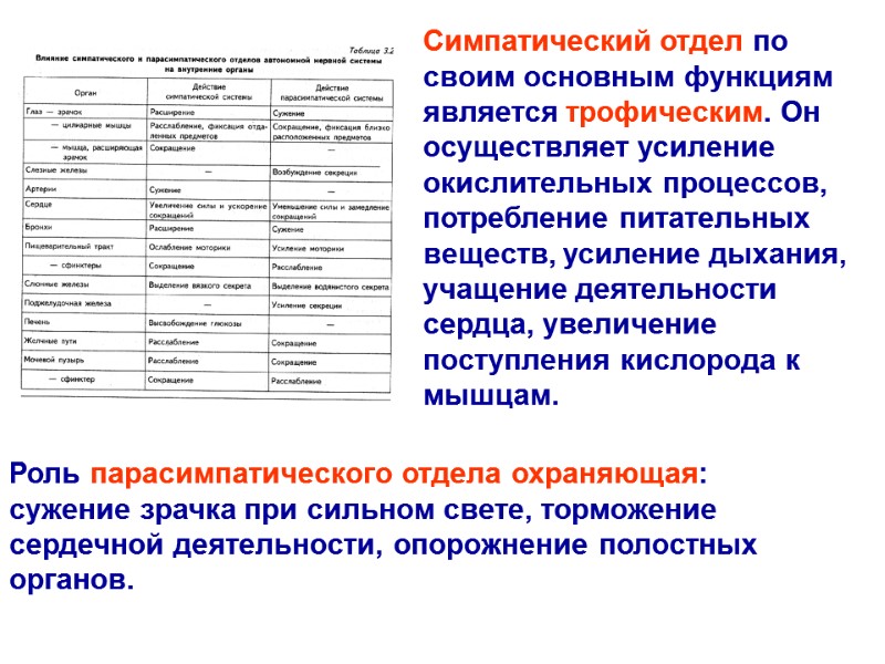 Симпатический отдел по своим основным функциям является трофическим. Он осуществляет усиление окислительных процессов, потребление Симпатический отдел по своим основным функциям является трофическим. Он осуществляет усиление окислительных процессов, потребление
